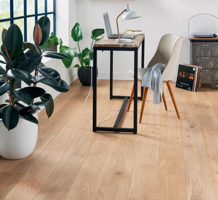 Picto chene Panaget Visuel du logo Panaget le parqueteur français